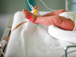 Pregnancy - Complications - Premature Labour